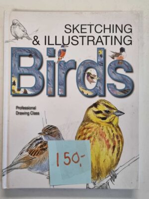 Sketching and illustration birds